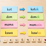 Zdrobnienia w języku polskim to nie tylko „domek” i „kawka”. Sprawdzamy, jak powstają, co wyrażają, kiedy oznaczają czułość, a kiedy ironię oraz jak zmieniają znaczenie słów.